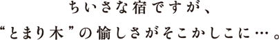 ちいさな宿ですが、“とまり木”の愉しさがそこかしこに...。